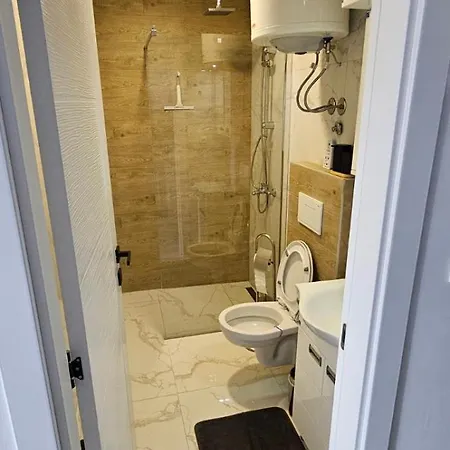 Stefan Tomic-srebrno Jezero