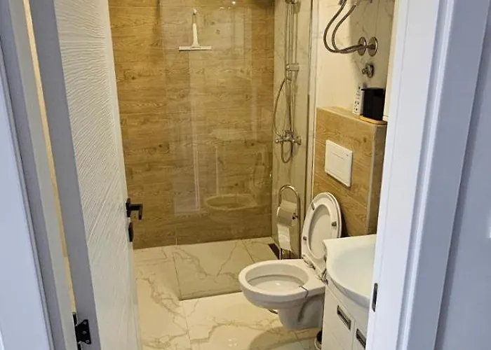 Stefan Tomic-srebrno Jezero